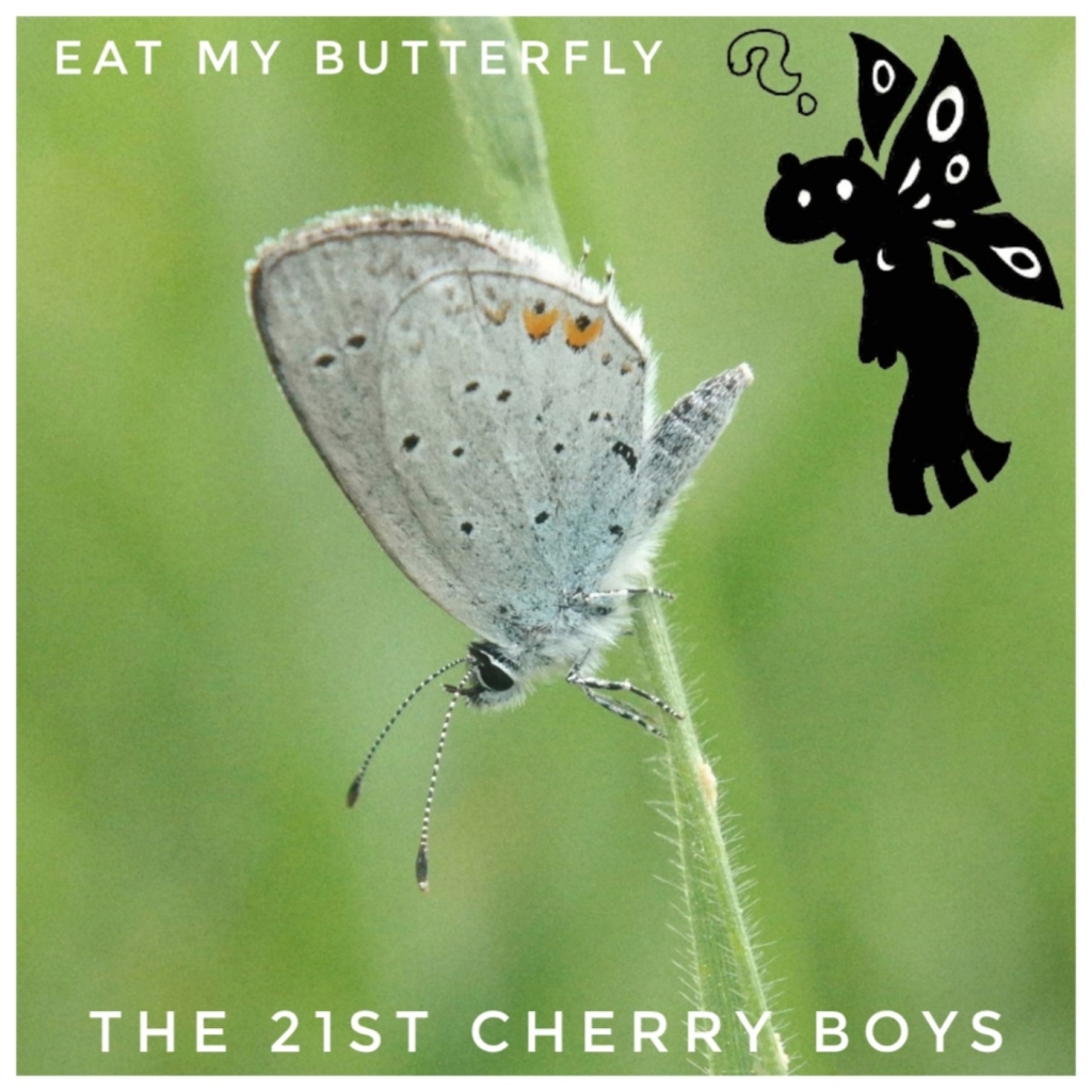 Eat My Butterfly (remix)